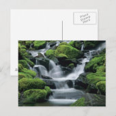 Carte Postale WA, Pôle olympique, Vallée de Sol Duc, ruisseau av (Devant / Derrière)