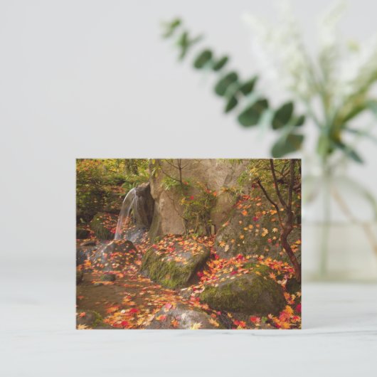 Carte Postale WA, Seattle, Washington Park Arboretum, Japonais (Debout devant)