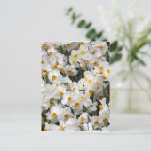 Carte Postale WA, Skagit Valley, motif de jonquille (Debout devant)