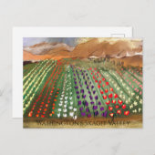 Carte Postale WA Skagit Valley Tulip Fields (Devant / Derrière)