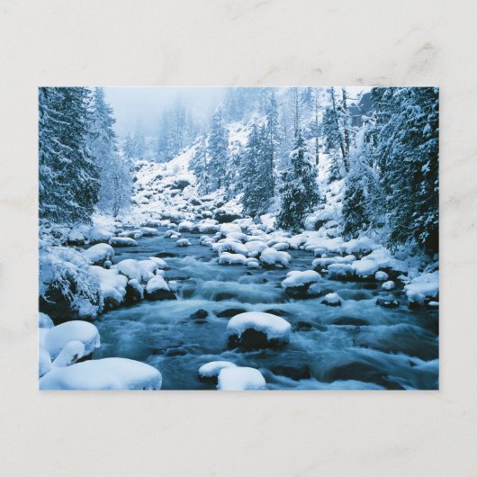 Carte Postale WA, Wenatchee National Forest, Cascade (Devant)