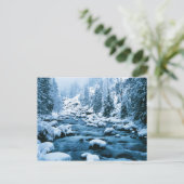 Carte Postale WA, Wenatchee National Forest, Cascade (Debout devant)