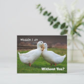 Carte Postale Waddle I Do Funny Ducks (Debout devant)