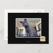 Carte Postale Wadya veut dire "Obtenez de l'aide" ? (Devant / Derrière)