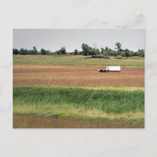 Carte Postale Wagon couvert de la ferme de Laura Ingalls Wilder (Devant)