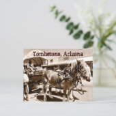Carte postale Wagon Couverte des chevaux Tombstone (Debout devant)