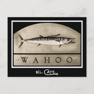 Carte Postale Wahoo Vintage noir et blanc