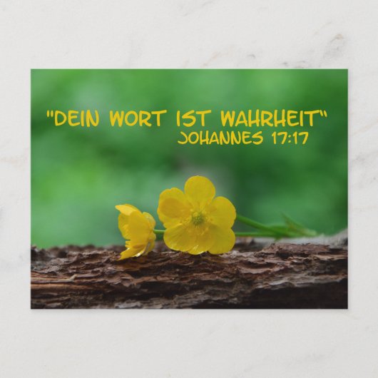 Carte Postale Wahrheit .... (Devant)