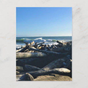 Carte Postale Waikiki Beach, cape Disappointment, Washington