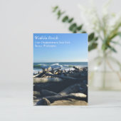 Carte Postale Waikiki Beach, cape Disappointment, Washington (Debout devant)