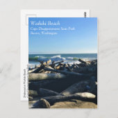 Carte Postale Waikiki Beach, cape Disappointment, Washington (Devant / Derrière)