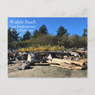 Carte Postale Waikiki Beach, cape Disappointment, Washington