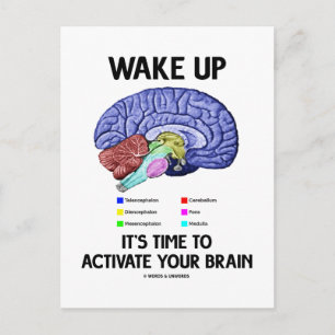 Carte Postale Wake Up It's Time To Activate Your Brain