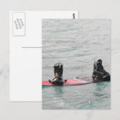Carte postale Wakeboard manquante (Devant / Derrière)