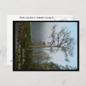 Carte postale Wakulla County Florida (Devant / Derrière)