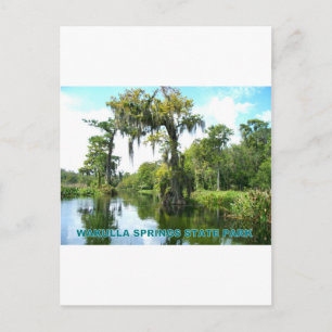 CARTE POSTALE WAKULLA SPRINGS STATE PARK - FLORIDE