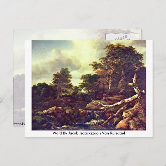 Carte Postale Wald Par Jacob Isaackszoon Van Ruisdael (Devant / Derrière)