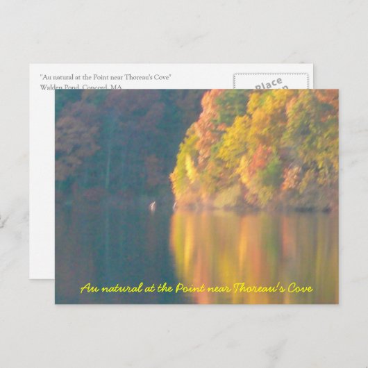 Carte postale Walden Pond (Devant / Derrière)