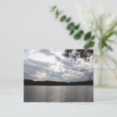 Carte Postale Walden Pond (Debout devant)