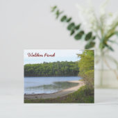 Carte Postale Walden Pond, Concord, MA (Debout devant)