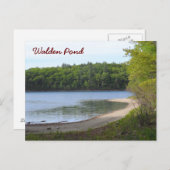 Carte Postale Walden Pond, Concord, MA (Devant / Derrière)
