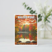 Carte Postale Walden Pond Massachusetts Travel (Debout devant)