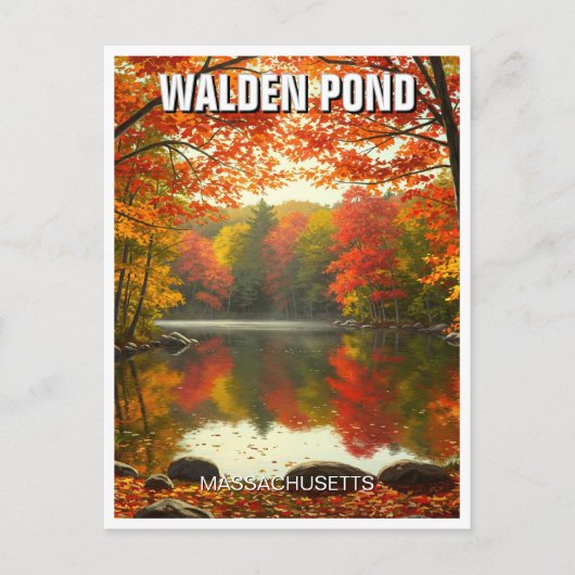 Carte Postale Walden Pond Massachusetts Travel (Devant)