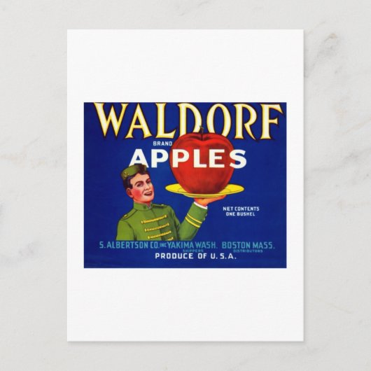 Carte Postale Waldorf Apples (Devant)