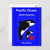 Carte Postale Wales tueuse (Devant / Derrière)