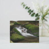 Carte postale Walker Creek (Debout devant)