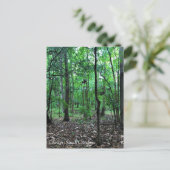 Carte Postale Walking in the Forest, Chester, Caroline du Sud Ca (Debout devant)