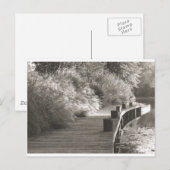 Carte Postale walkway.jpg (Devant / Derrière)