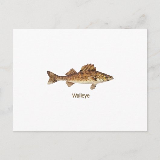 Carte Postale Walleye Art (Devant)