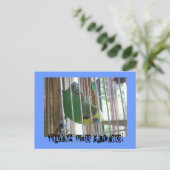 Carte Postale Wallis le Budgie ! (Debout devant)