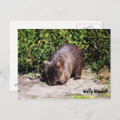 Carte postale Wally Wombat (Devant / Derrière)