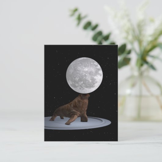Carte Postale Walrus Équilibrer La Lune (Debout devant)