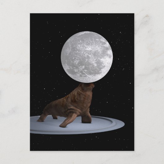 Carte Postale Walrus Équilibrer La Lune (Devant)
