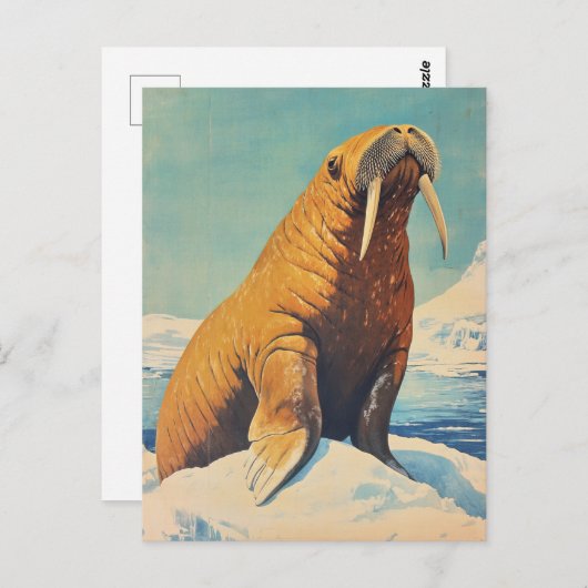 Carte Postale Walrus vintage (Devant / Derrière)