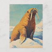 Carte Postale Walrus vintage (Devant)