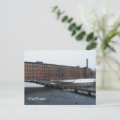 Carte Postale Waltham (Debout devant)