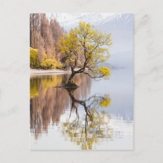 Carte Postale Wanaka Tree Autumn Nature Paysage
