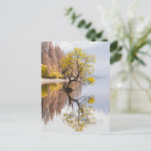 Carte Postale Wanaka Tree Autumn Nature Paysage (Debout devant)