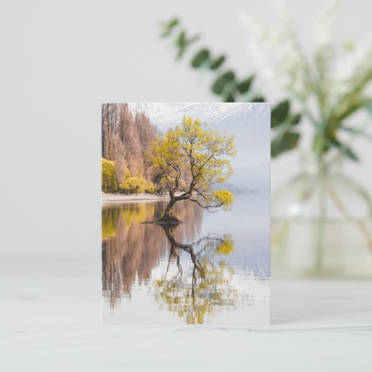 Carte Postale Wanaka Tree Autumn Nature Paysage (Debout devant)