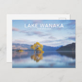 Carte postale Wanaka Tree Nouvelle-Zélande (Devant / Derrière)