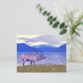 Carte Postale Wapiti (Elk) Sur Le Lac (Debout devant)