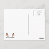 Carte Postale Wapiti (Elk) Sur Le Lac (Dos)