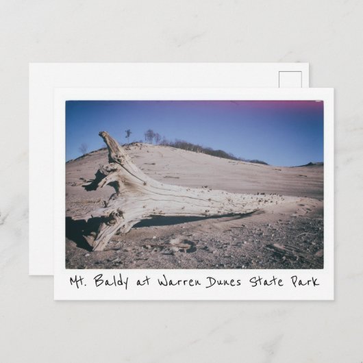 Carte Postale Warren Dunes State Park Mt. Baldy Michigan (Devant / Derrière)