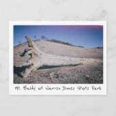 Carte Postale Warren Dunes State Park Mt. Baldy Michigan (Devant)