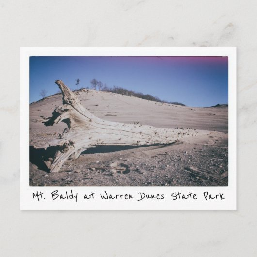 Carte Postale Warren Dunes State Park Mt. Baldy Michigan (Devant)