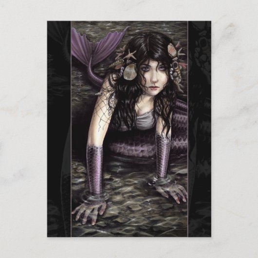 Carte Postale Washed Ashore (Devant)